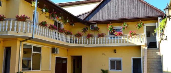 &nbsp;Pensiunea Alexander Arad